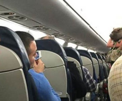 Schwein des Anstoßes: Die Frau musste das Flugzeug verlassen.