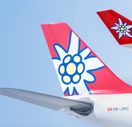 edelweiss airbus a340 winglet tailfin hb jmg
