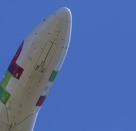 Airbus A320 von Tap: Lufthansa hatte Hilfe von Friedrich Merz.