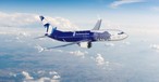 Boeing 737 Max im Avia-Solutions-Design: Etliche Airlines gehören zur Gruppe.