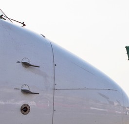Alitalia plane: Will the airline survive?