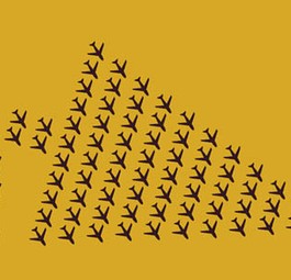 Etihad: Darwin war der erste Baum der Etihad-Regional-Strategie.