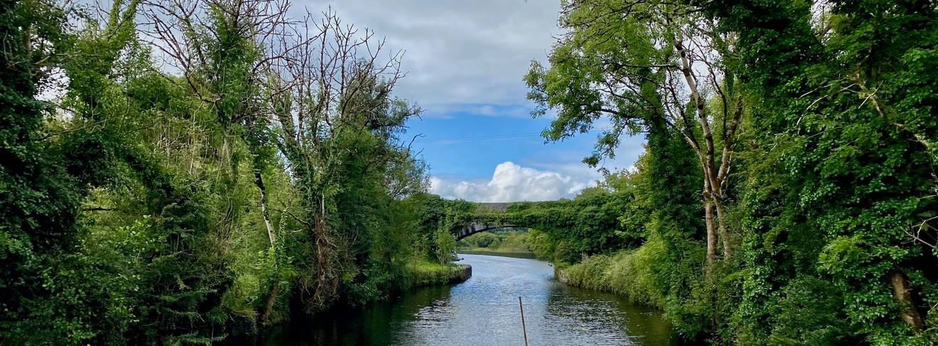 Nicht immer ist es so schmal auf dem Shannon wie hier im Jameson Canal