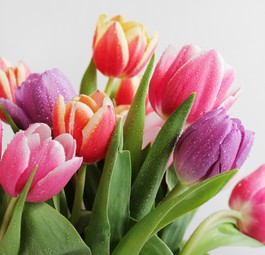 Tulpenstrauß: Führte der Kauf zur Verspätung, oder fand der Kauf statt, als eh Zeit war?
