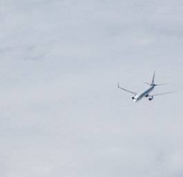 Flugzeug auf Reiseflughöhe: Die Sicherheit soll steigen, finden die US-Abgeordneten.