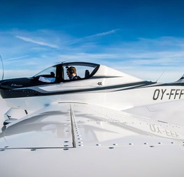 Platz 8: Tecnam P-Mentor: 60 Stück.