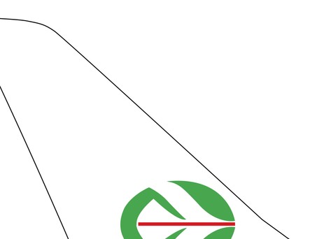 ticker doemstic airlines