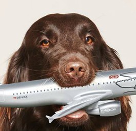 Niki-Werbefoto: IAG kam zum Zug.