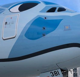 Wache Augen: Der erste Airbus A380 von ANA All Nippon Airways trägt wie die anderen beiden Exemplare ein Motiv mit Meeresschildkröten.