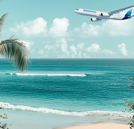 Airbus 330 von Discover: Flottenausbau und neue Kabine geplant.