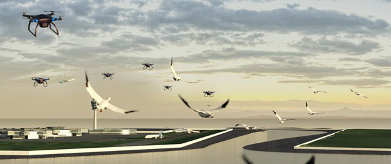 Drohnen am Flughafen: Sie sollen helfen, Vogelschlag zu verhindern.