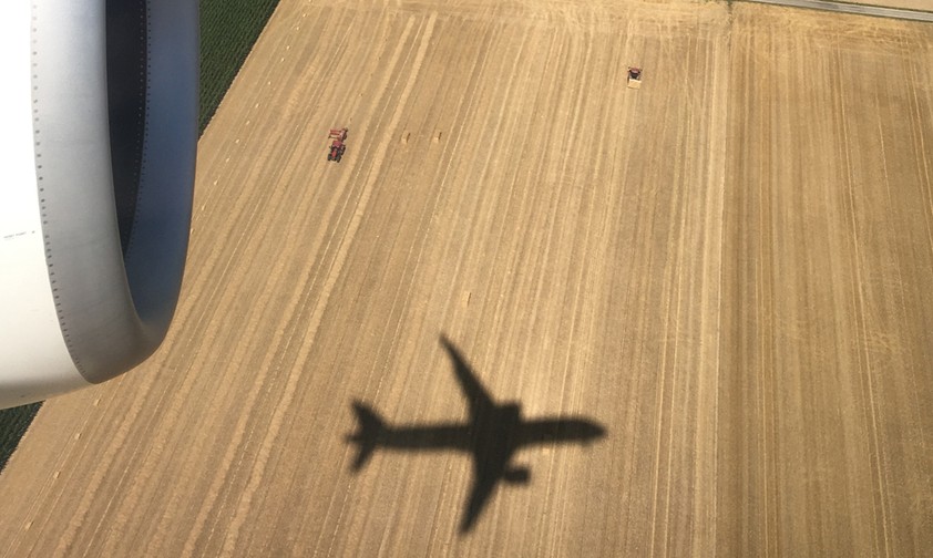 Flugzeug: Alternative Treibstoffe können aus Energiepflanzen wie etwa Leindotter gewonnen werden.
