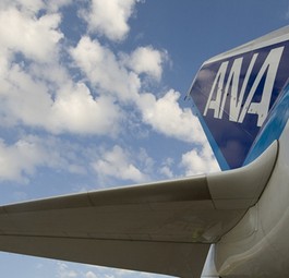 Dreamliner-Flosse von ANA: Kein Problem mit dem Triebwerk.