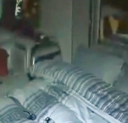 Das Schlafzimmer im Airbus A340: Viel Luxus.