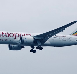 Dreamliner von Ethiopian Airlines: Großmacht in Afrika.