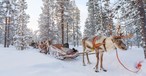 Unter den leuchtenden Himmeln Finnlands: Ein einzigartiger Winterurlaub im hohen Norden