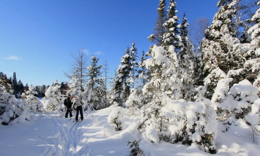Langlaufparadies Algonquin Nationalpark