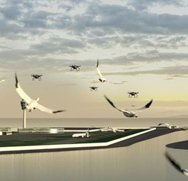 Drohnen am Flughafen: Sie sollen helfen, Vogelschlag zu verhindern.