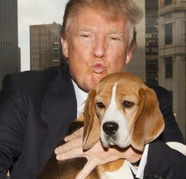 Donald Trump: Der Milliardär will für die Republikaner Präsident werden.