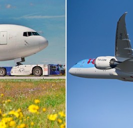 Flieger von Condor und Tuifly: Wäre das ein gutes Team?