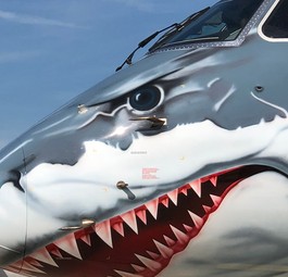 Flugzeug mit Biss: Helvetic Airways erhofft sich von den E2-Jets viel.