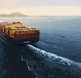 Containerschiff von MSC: Ein riesiges Familienunternehmen.