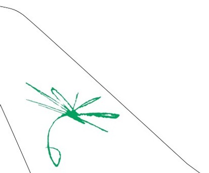 ticker chapman freeborn