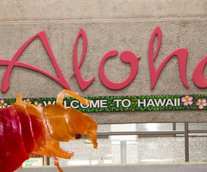 Der Flughafen von Honolulu: Er hat ein Bettwanzen-Problem.