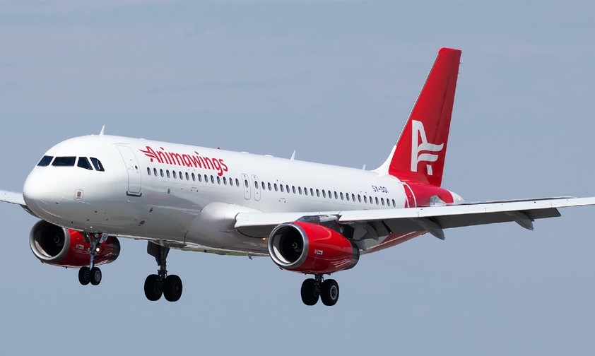 Airbus A320 von Animawings: Neuer Anbieter in Rumänien.