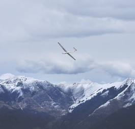 Segelflieger: Winglets haben inzwischen nur noch Leistungsflieger.