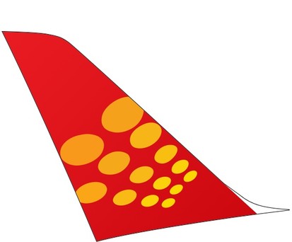 Spicejet darf wegen Sicherheitsbedenken nur die Hälfte der angemeldeten Flüge durchführen