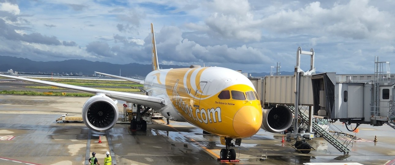 Boeing 787 von Scoot am Gate: Der Mann wurde nach der Ankunft verhaftet.