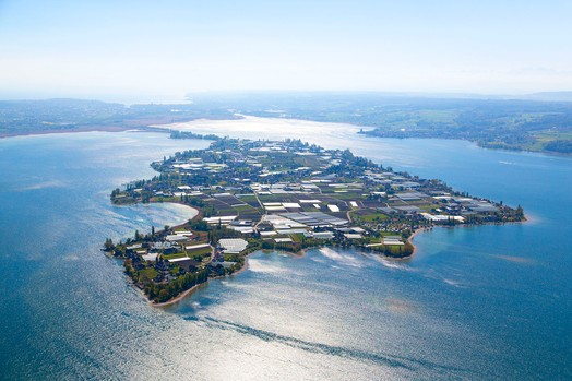 Blick auf die Insel Reichenau