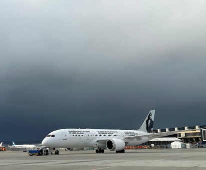 Der Dreamliner von Enrique Piñeyro am 13. Januar in Frankfurt.