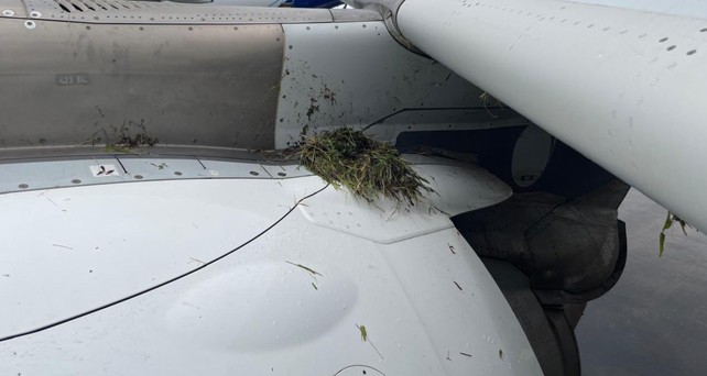 airbus a320 neo air india runway excursion