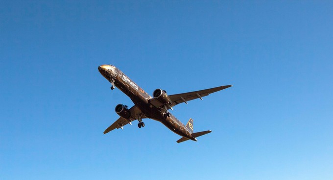 Der Löwe im Flug.