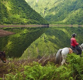 Ferien auf Réunion: Bald wird das Flugangebot noch größer.