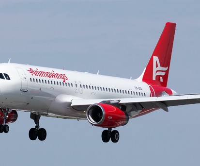 Airbus A320 von Animawings: Neuer Anbieter in Rumänien.