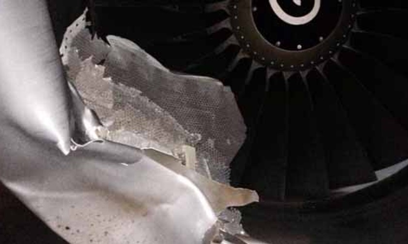 Beschädigtes Triebwerk: Der Büffel beschädigte den Jet.
