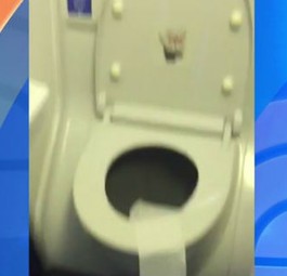 So viel Kraft hat eine Flugzeugtoilette