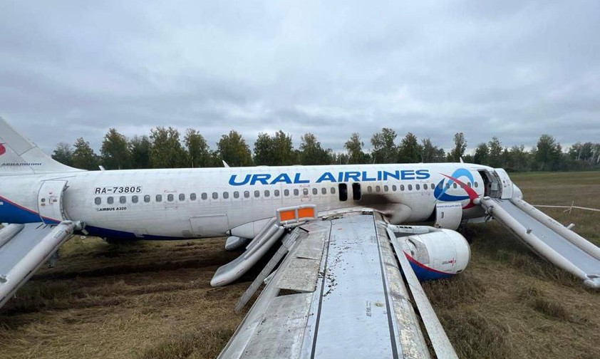 So erklärt Ural Airlines die Notlandung des Airbus A320 im Weizenfeld