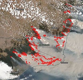 Satellitenbild der Buschfeuer in Australien: Verheerende Folgen für Mensch, Tier und Pflanzenfeld.
