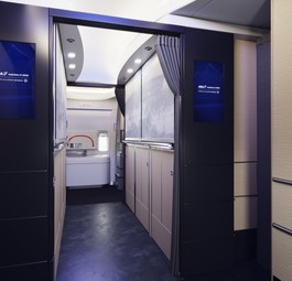 Welcome aboard the new Boeing 777-300ER of ANA. The Entrance should resemble one of a hotel reception