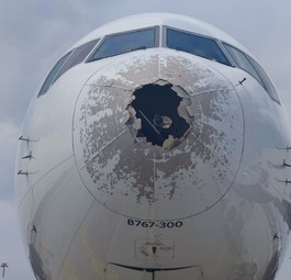 Beschädigter Jet: Den Insassen passierte nichts.