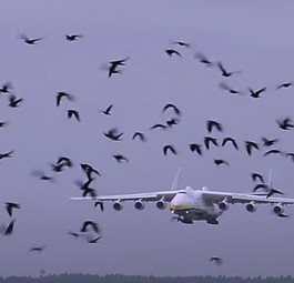 Antonov An-225 kehrt nach verlängerter Reise heim