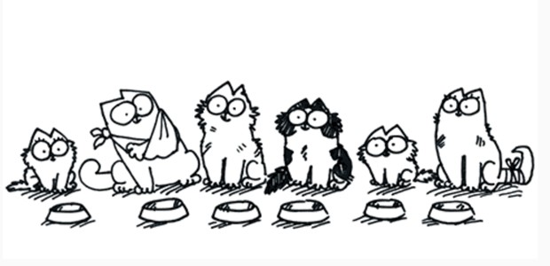 Simons Cat (2.v.l.) und einige Freunde: Die Katze ist einer der Stars im Kanal Paws and Relax.