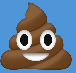 Kothäufchen-Emoji: Passt irgendwie zum aktuellen Thema. Eine andere Bildidee hatten wir nicht...