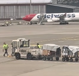 Kuriose Szene am Flughafen Zürich: Gepäckmitarbeiter müssen Pakete einsammeln.