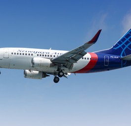 Sriwijaya Air: Eine Boeing 737-500 der Fluggesellschaft verunglückte am 9. Januar über der Java-See.