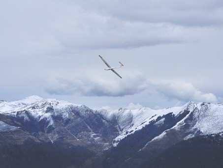 Segelflieger: Winglets haben inzwischen nur noch Leistungsflieger.